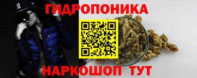 спиды Ливны
