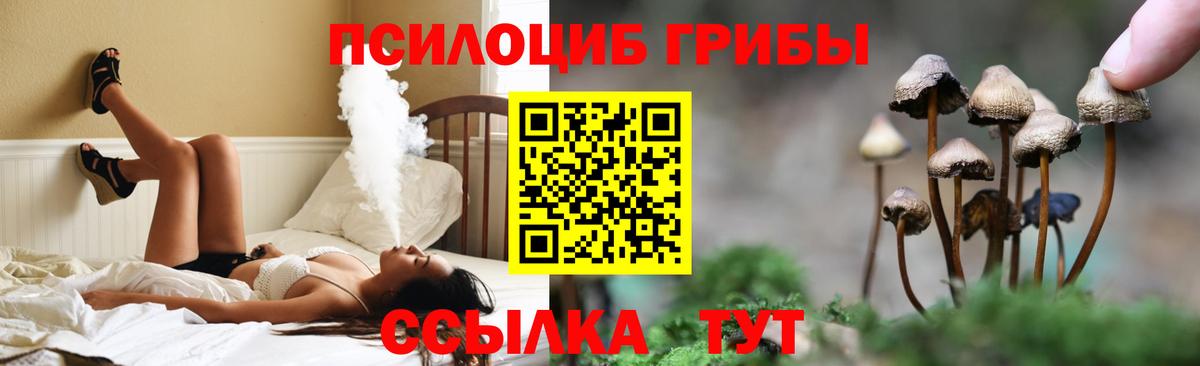 Грязи  Псилоцибиновые грибы прущие грибы  Вход с VPN 
